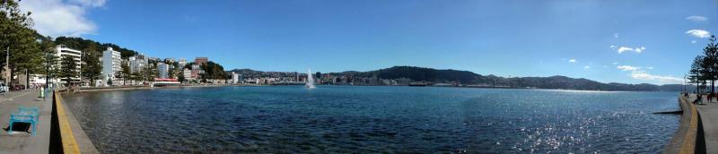 Another at Oriental Bay