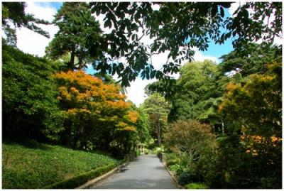 u33/philinnz/medium/21304329.107path.jpg