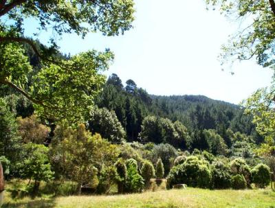 Picnic Areas