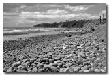 Stony Beach - Bay of Plenty