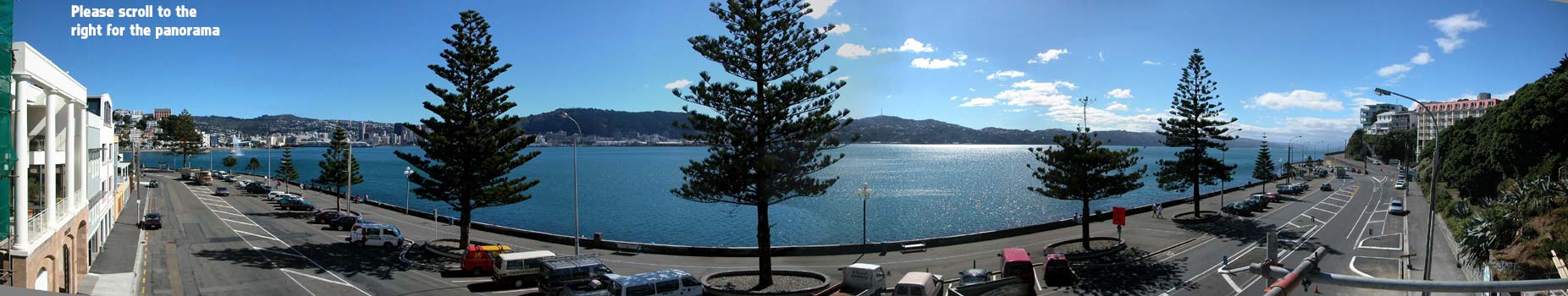 Oriental Bay Panorama