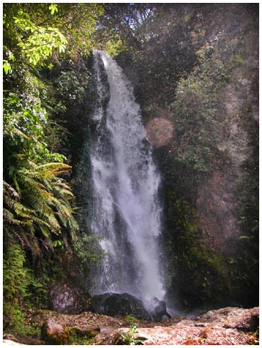 Waterfall near Rotorua