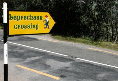 Actual Leprechaun Crossing - Ladie's View - Ring of Kerry  (Co. Kerry)