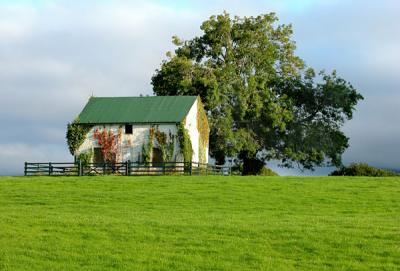 Country House - Killorglin - Ring of Kerry  (Co. Kerry)