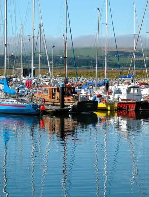 Dingle Harbor (Co. Kerry)