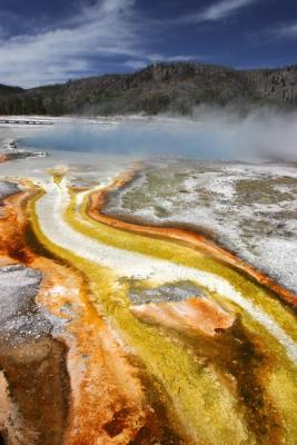 What amazing colors abound in Yellowstone