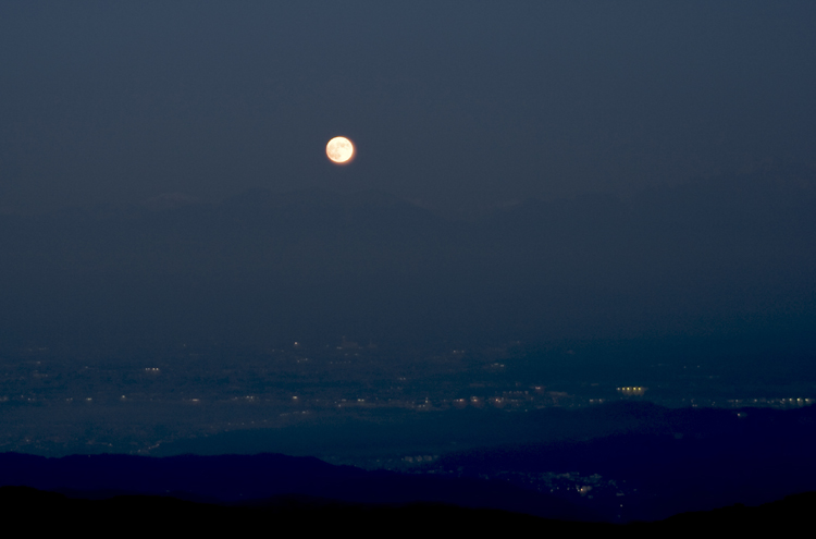CRW_7627_s.jpg