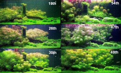 history - 8 weeks growing