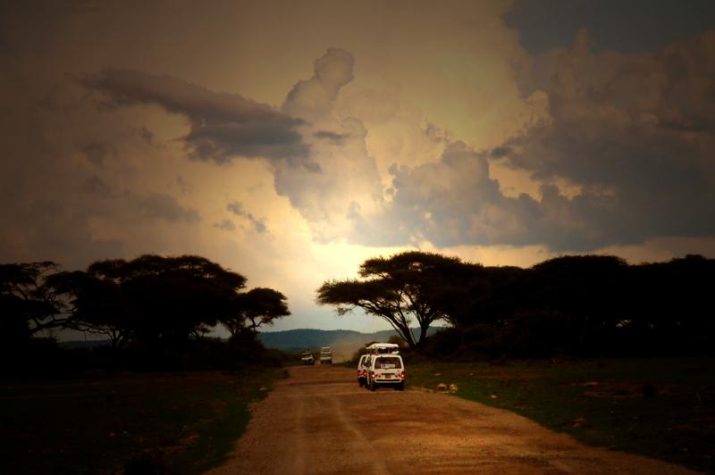 After the storm, Amboseli National Park, Kenya, 2002