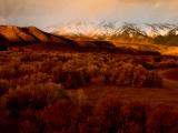 Colors of Dawn, near Conway Summit, California, 2004