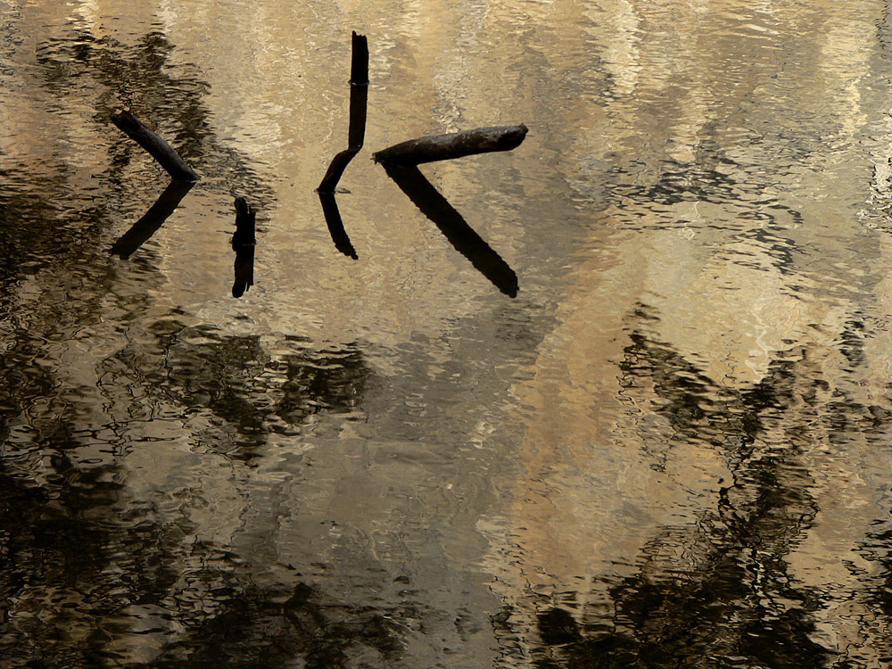 Merced Abstract, Yosemite National Park, California, 2004