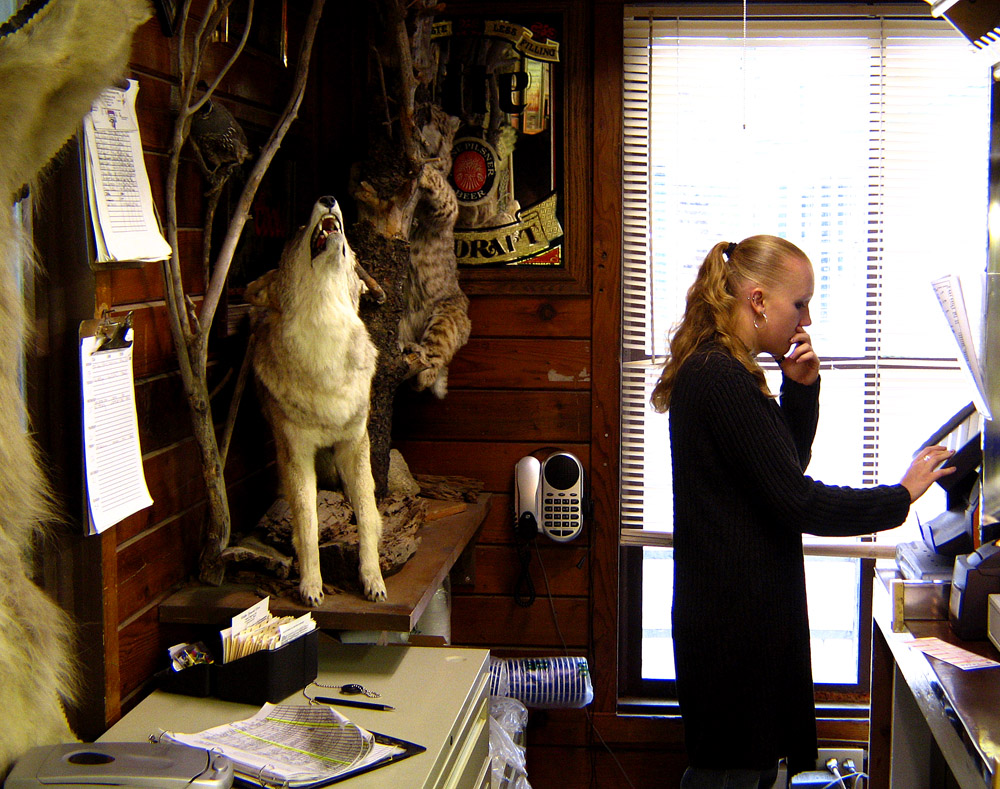 Silent Howl, Walker, California, 2004