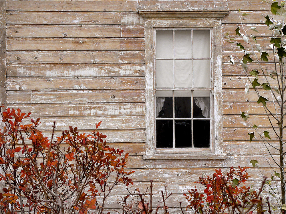 Starting Over, Bridgeport, California, 2004