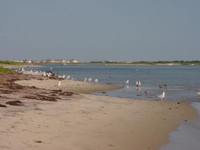 Gull Island, Moriches Bay, NY