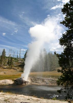 Riverside Geyser