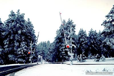 041022004.jpg