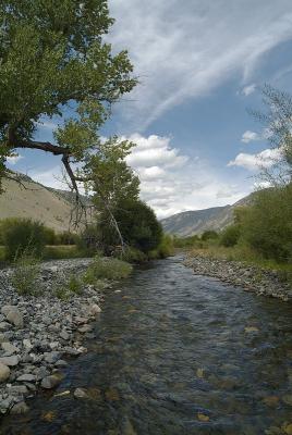 Trail Creek, Idaho2.jpg