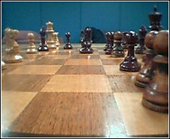 3068914178_235.jpg