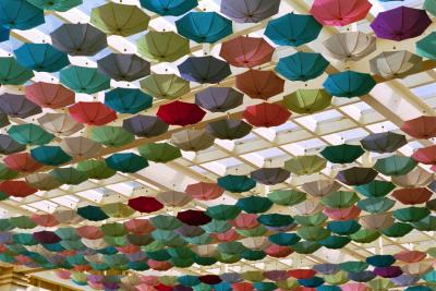 Sea of Umbrella dʨ|