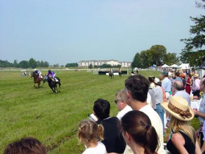 Race on Turf