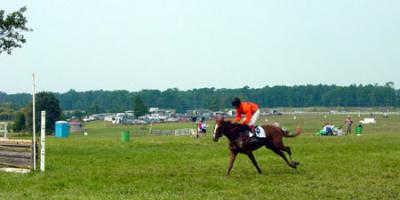 Race over National Fences