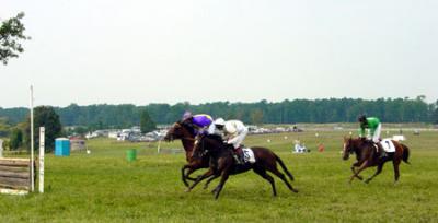 Race over National Fences