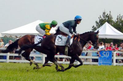 Fairfax Steeplechase Races 2003