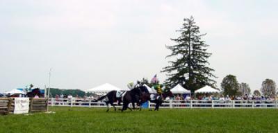 Race over National Fences
