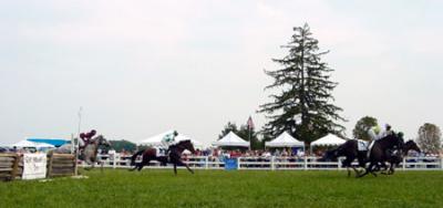 Race over National Fences