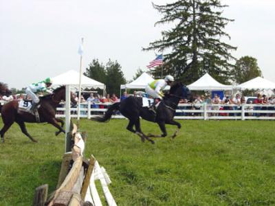 Race over National Fences