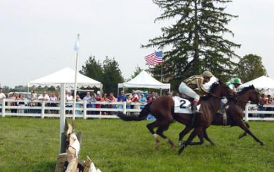 Race over National Fences