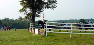 Race over Timber