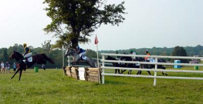 Race over Timber