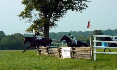 Race over Timber