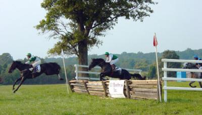 Race over Timber