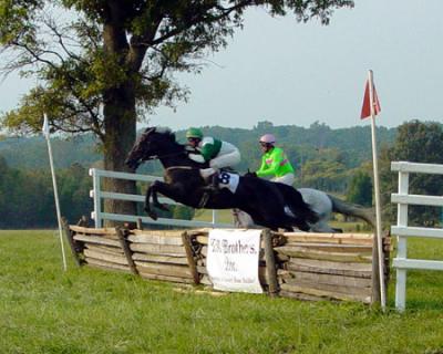 Race over Timber