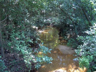Creek2.JPG