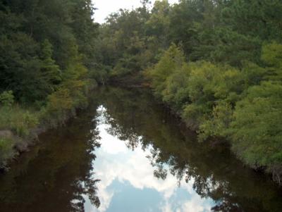 u33/rickwick/medium/21415707.Reflections.jpg