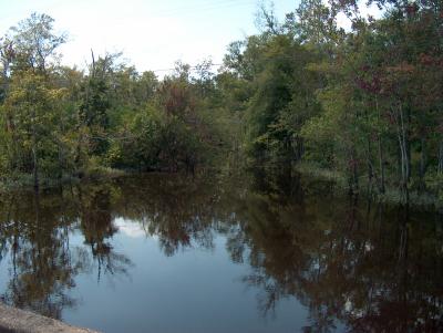 Reflections 3.JPG