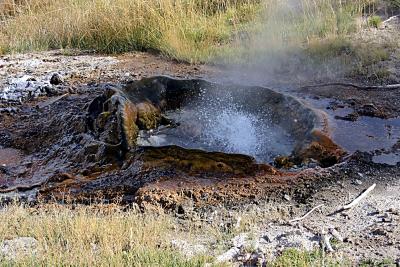 u33/rimcon/medium/35938756.NewGeyser.jpg