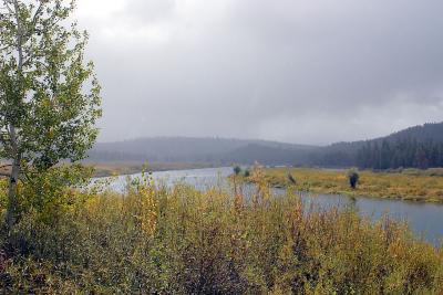 The Ox Bow Bend.jpg