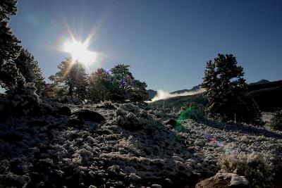 Snowy Morning.jpg