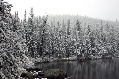 First Snow at Bear Lake.jpg