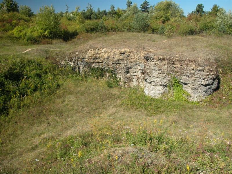 2003-09-04 11-53-19.JPG