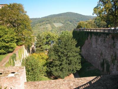 2003-09-22 11-56-10.JPG