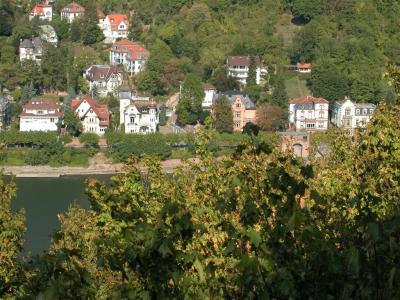 2003-09-22 12-22-03.JPG