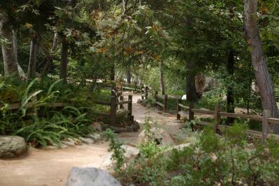 Nature trail 3