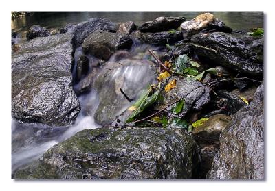 Bash Bish Brook