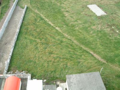 looking straight down; see how the wind has shaped the grass?
