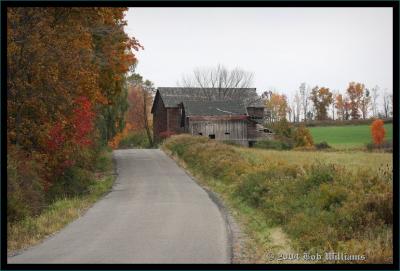 Back Road.jpg